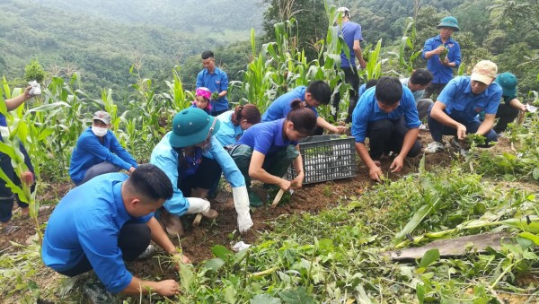Lãnh đạo Huyện đoàn Than Uyên, phòng giáo dục đào tạo huyện, UBND xã Pha Mu cùng lực lượng đoàn viên thanh niên tham gia trồng hoa tại bản Huổi Bắc