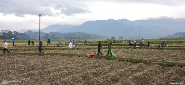 Cán bộ cùng nhân dân bản Cang Mường, xã Mường Cang vận động bà con trồng khoai tây