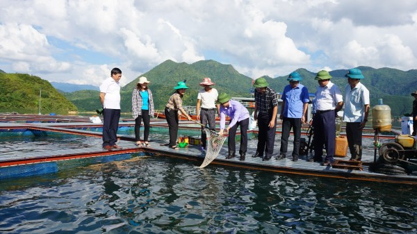 Lãnh đạo tỉnh, xổ số trực tuyến minh ngọc
 thăm mô hình nuôi cá lồng trên lòng hồ thủy điện Bản Chát.