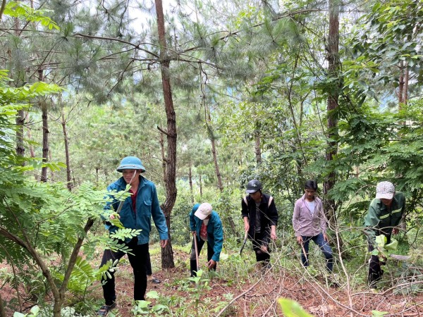Mường Kim trú trọng công tác bảo vệ rừng