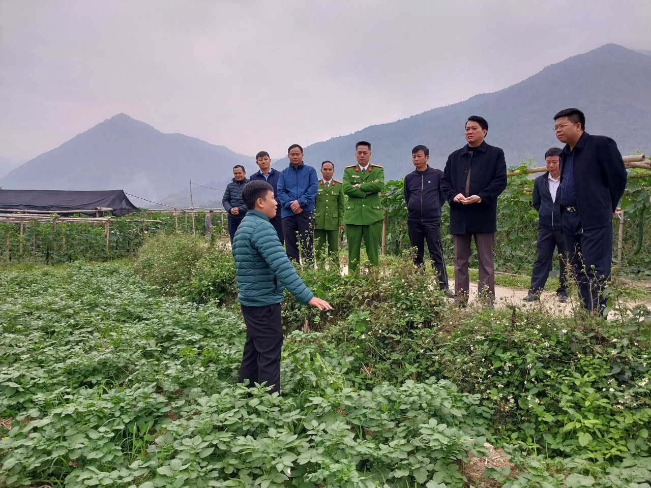 Đồng chí Nguyễn Viết Giang - UVBTV Tỉnh ủy, Giám đốc Công an tỉnh Lai Châu và đoàn công tác thăm, kiểm tra mô hình trồng khoai tây tại xã Mường Kim